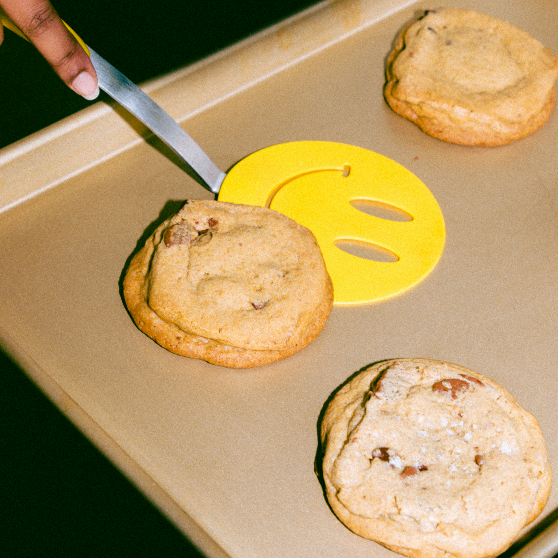 Salted Chocolate Chip Cookie Dough