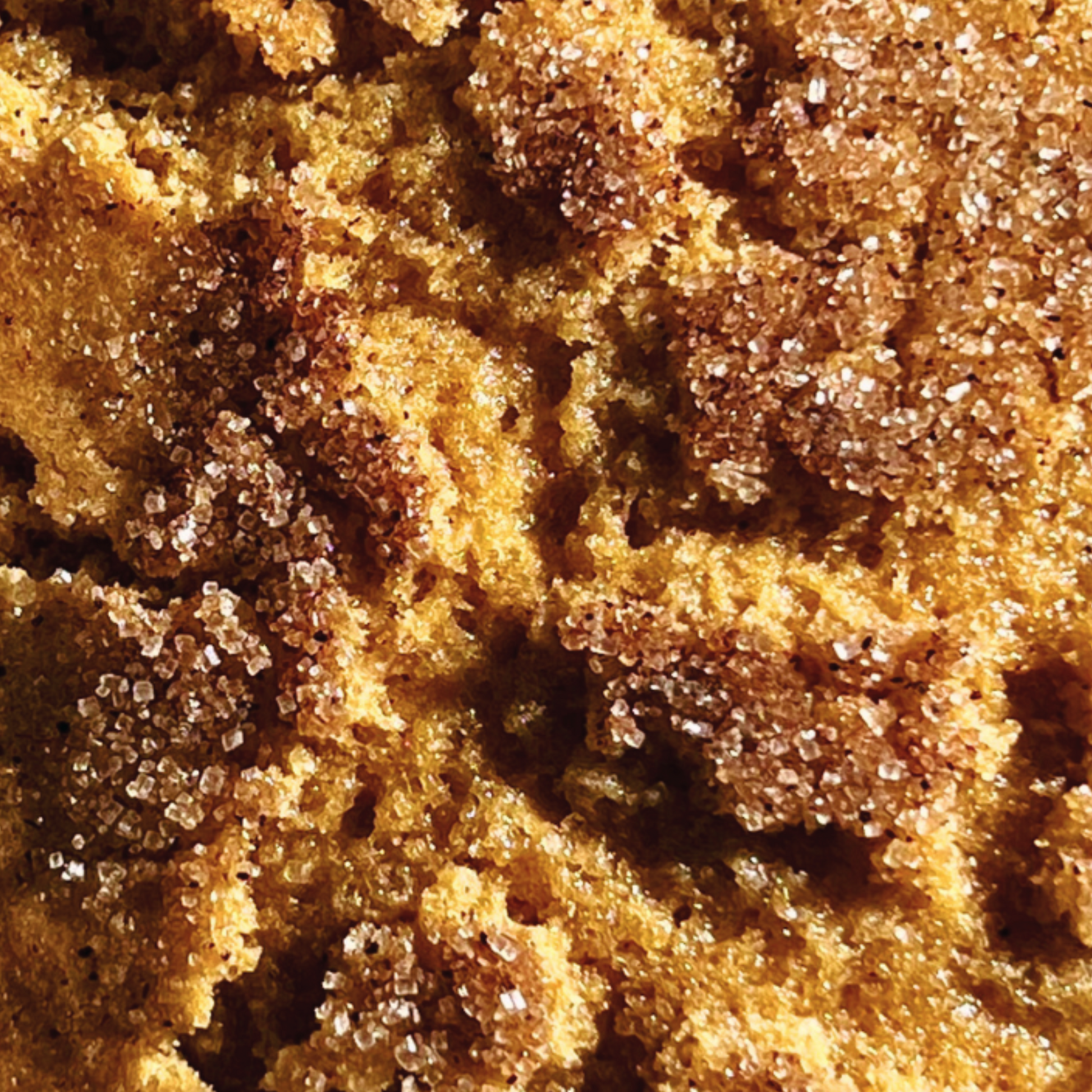 Snickerdoodle Cookie Dough
